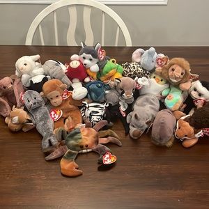 Beanie Baby Assortment